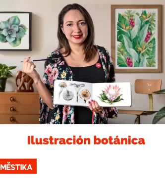 Ilustración botánica con acuarela: Cursos ilustración botánica con acuarela