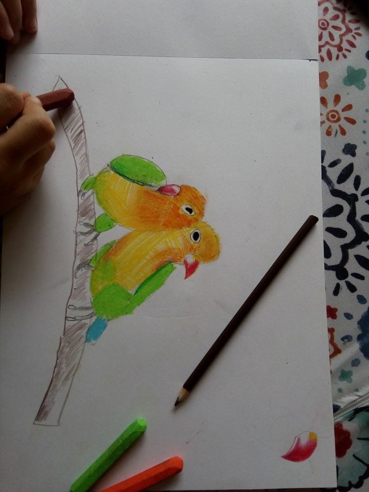 clases de dibujo para ninos