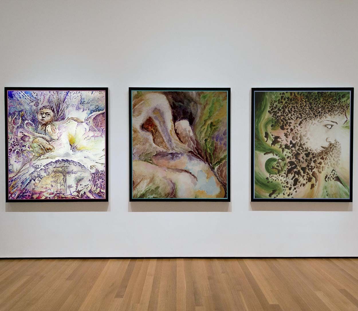 Galería pinturas siamgodh